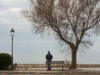 La science de la solitude : pourquoi l’isolement tue et ce que montrent les données