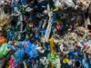 How much plastic is really recycled?