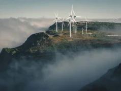 The European Green Deal was never just about the climate