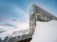 How a handful of seed banks are the last line against global food collapse