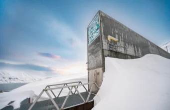 How a handful of seed banks are the last line against global food collapse