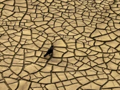 Cómo las megasequías acabaron con civilizaciones — y las que están en curso ahora mismo