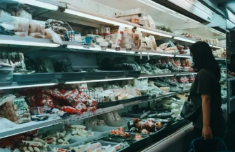 How refrigeration changed the geopolitical map more than any 20th century war
