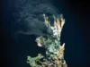 The geopolitics of the deep sea: why the ocean floor is the new Arctic