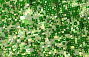 The slow death of the world’s largest aquifer