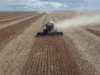 Why the global food system is more fragile than anyone admits