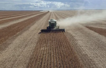 Why the global food system is more fragile than anyone admits