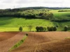 Why the world’s best agricultural land is increasingly owned by sovereign wealth funds