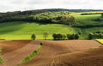 Why the world’s best agricultural land is increasingly owned by sovereign wealth funds