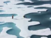 Après 1,5 °C, le monde peut-il se refroidir de nouveau ? Turquoise meltwater ponds spread across white Arctic sea ice, with two researchers standing on the ice
