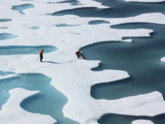 ¿Puede el mundo volver a enfriarse después de 1,5 °C? Turquoise meltwater ponds spread across white Arctic sea ice, with two researchers standing on the ice