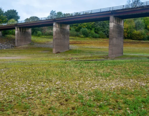 How a wet country runs short of water A concrete road bridge on tall pillars standing over a dry, grassy and stony reservoir bed, with trees behind.