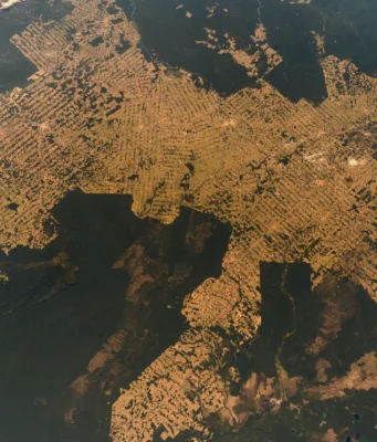 How Brazil cut Amazon deforestation to a record low, and what could undo it Orbital view of rainforest cut through by a dense grid of pale cleared strips among dark green forest